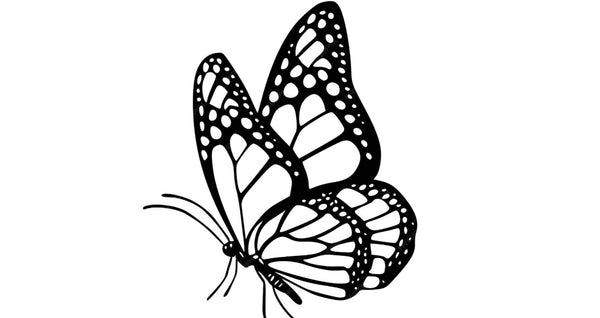 Be ok 🦋